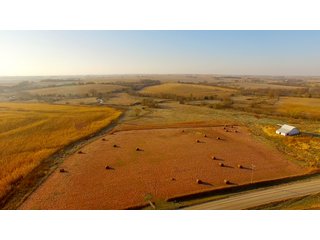 Property photo 10 - LAND AUCTION - 664+/- ACRES OFFERED IN 17 TRACTS IN CASS CO., NEBRASKA